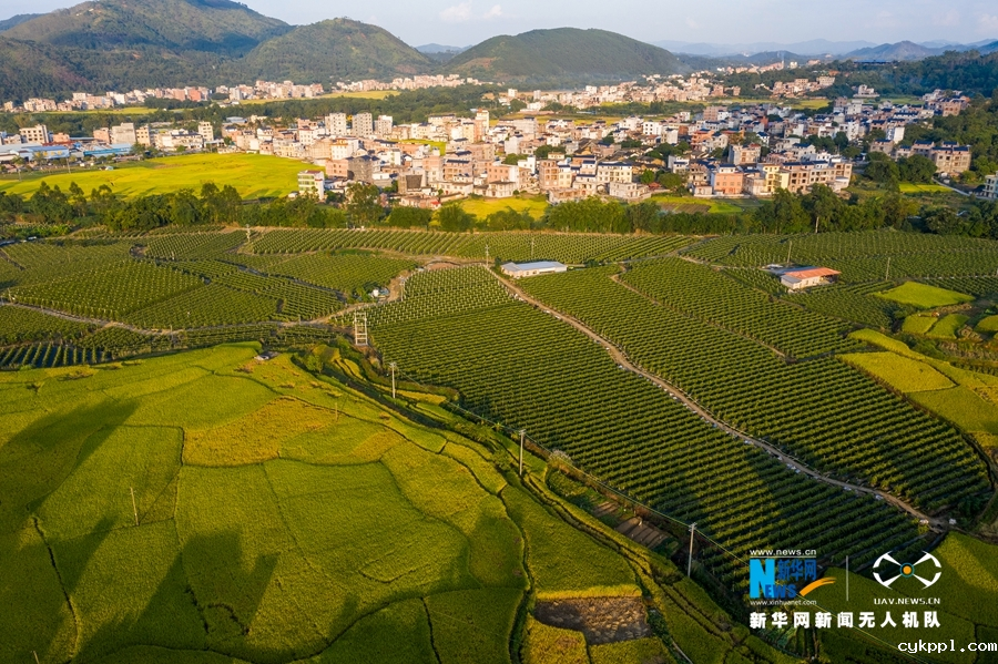 广西岑溪：青山环抱乡村如画