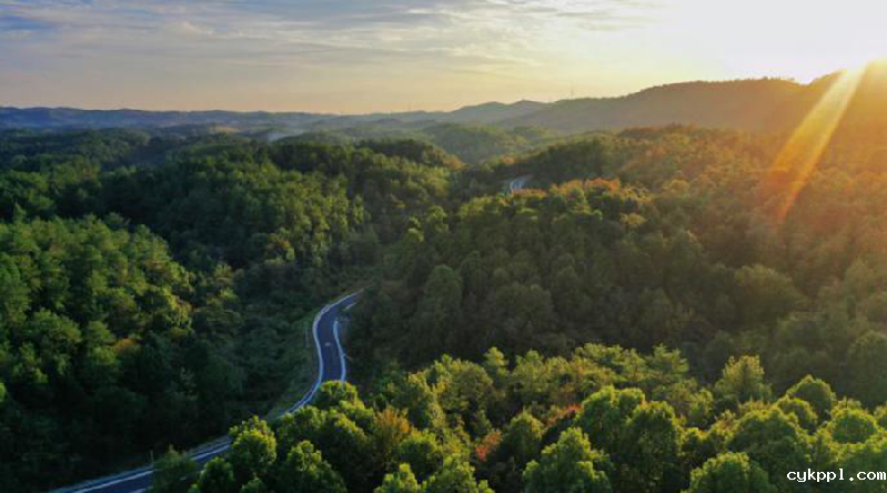 【“飞阅”中国】初冬玉泉山 千年古刹银杏飘黄