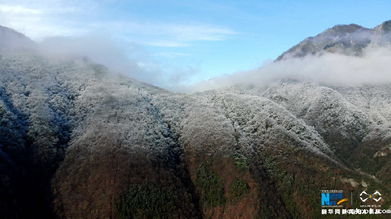 【“飞阅”中国】雪后十八里长峡 半山皑皑半山红