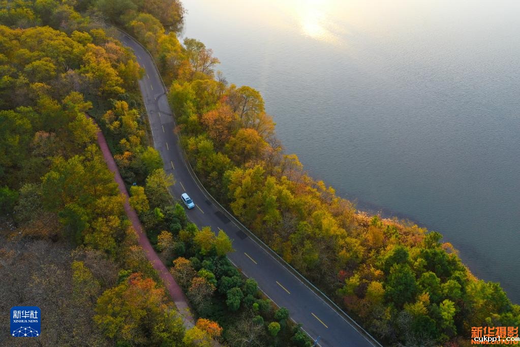 跨祖国各地 赏冬韵掠影