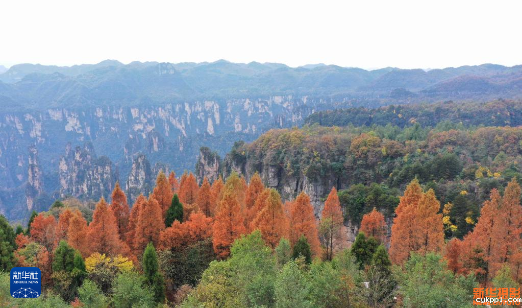 跨祖国各地 赏冬韵掠影