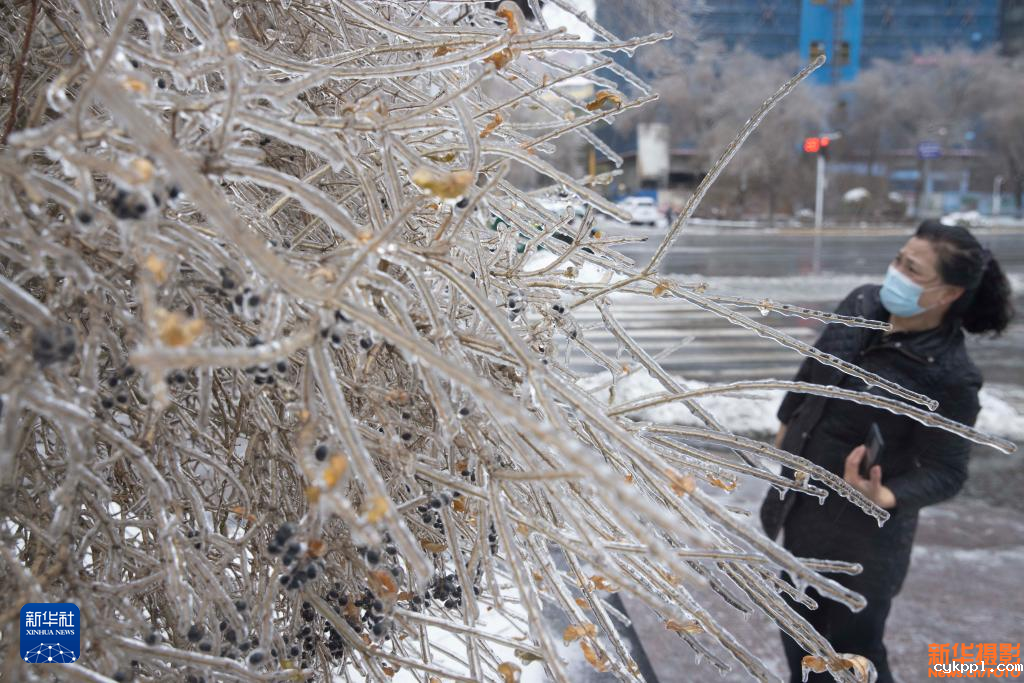 跨祖国各地 赏冬韵掠影
