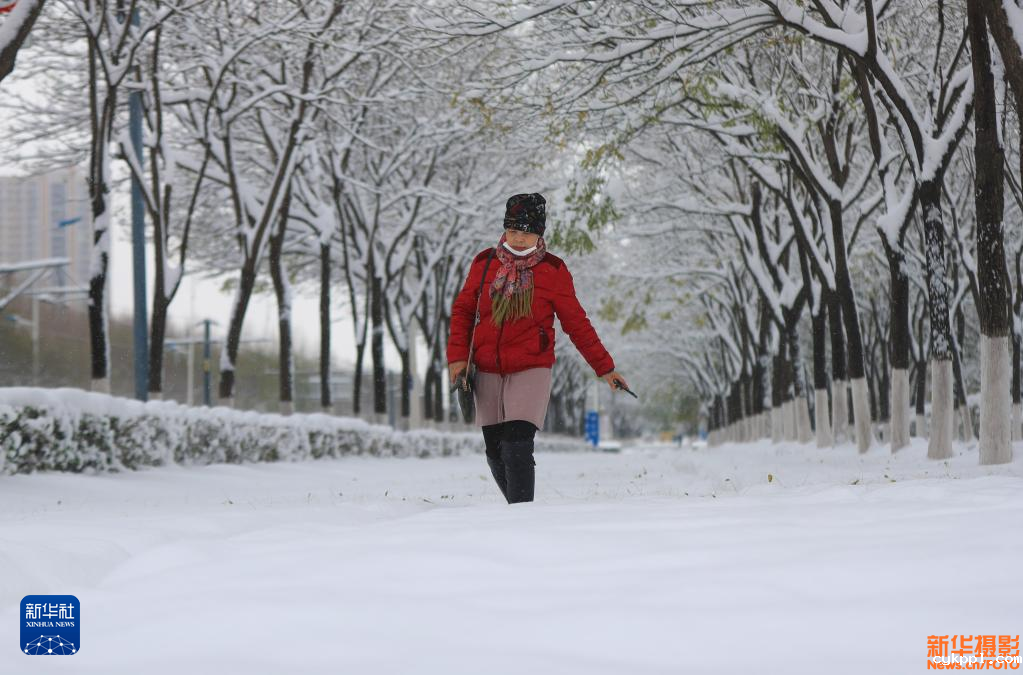 跨祖国各地 赏冬韵掠影