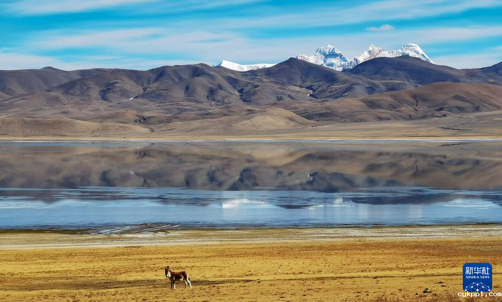 手机摄影：光影中的哲古湖