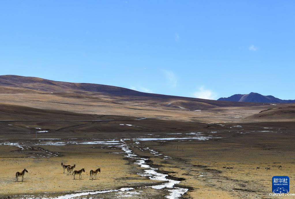 手机摄影：光影中的哲古湖