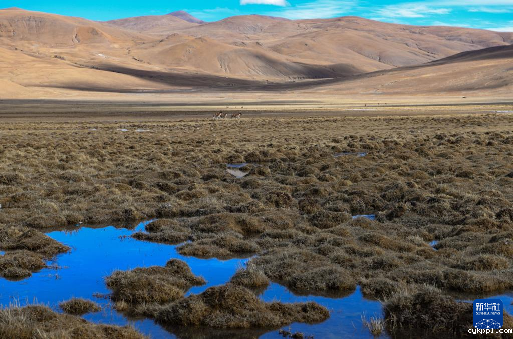 手机摄影：光影中的哲古湖