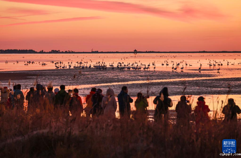 光影中的天鹅湖