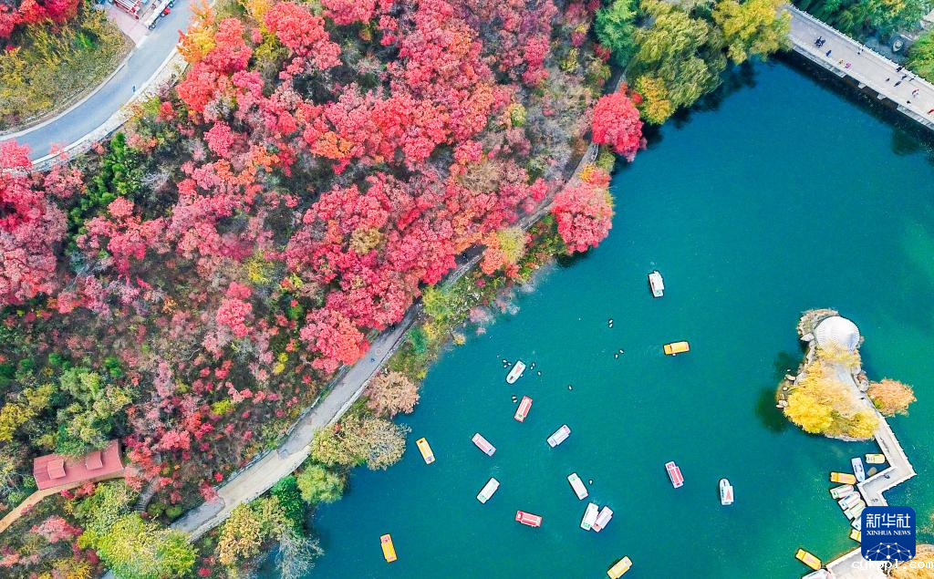 漫山斑斓 层林尽染 漫山斑斓 层林尽染