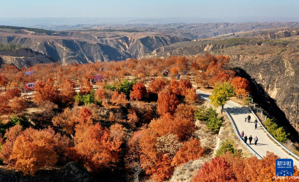 漫山斑斓 层林尽染 漫山斑斓 层林尽染