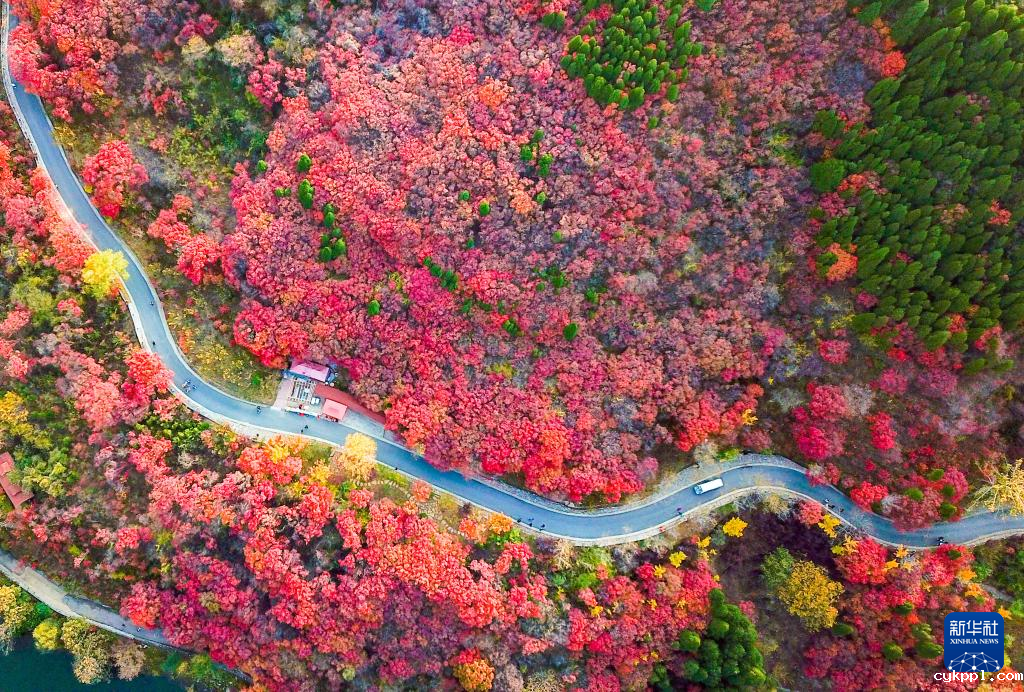 漫山斑斓 层林尽染 漫山斑斓 层林尽染