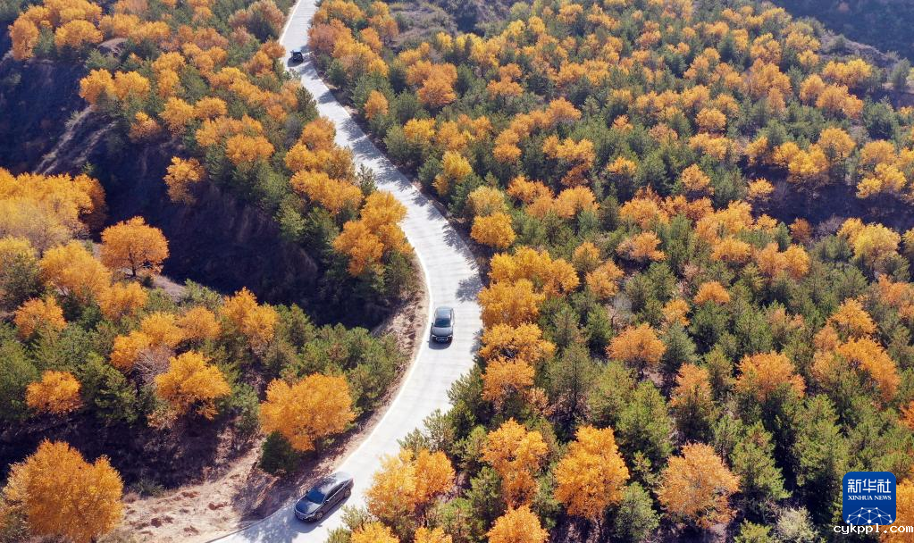 漫山斑斓 层林尽染 漫山斑斓 层林尽染