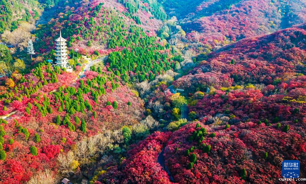 漫山斑斓 层林尽染 漫山斑斓 层林尽染