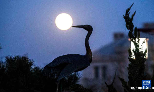 镜头聚焦：2021年最后一轮满月现身夜