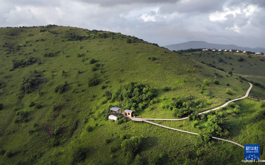 无人机航拍巴山大草原 神奇瑰丽宛若巨幅油画