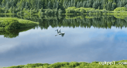 创意视频|我们诞生在塞罕坝 创意视频|我们诞生在塞罕坝