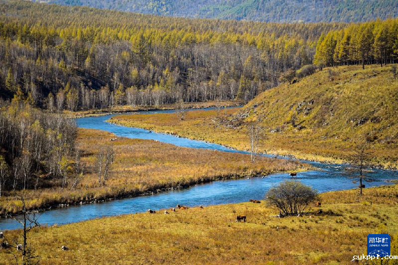 色彩的盛宴！摄影师镜头记录醉美金秋
