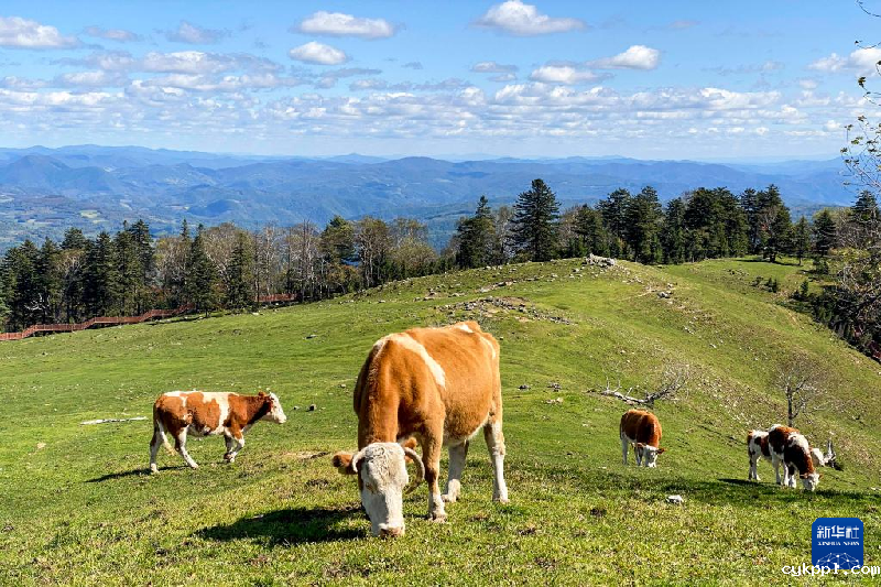 色彩的盛宴！摄影师镜头记录醉美金秋