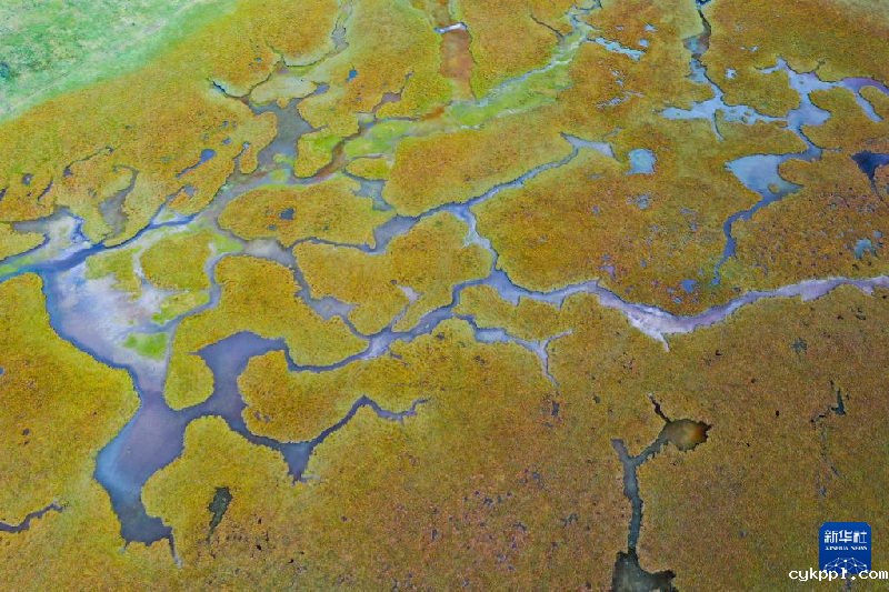 色彩的盛宴！摄影师镜头记录醉美金秋