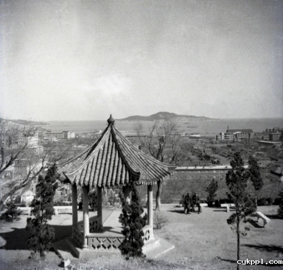 与城市共成长,一位威海摄影人的光影城记