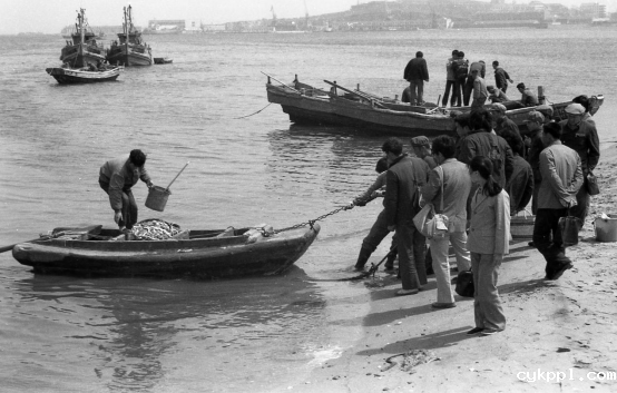 与城市共成长,一位威海摄影人的光影城记