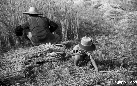 与城市共成长,一位威海摄影人的光影城记