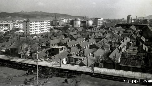 与城市共成长,一位威海摄影人的光影城记