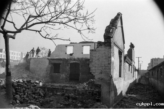 与城市共成长,一位威海摄影人的光影城记