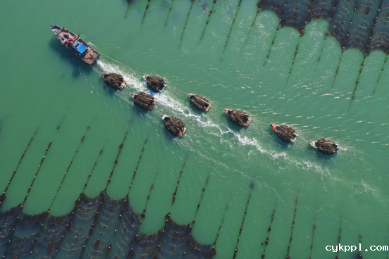 与城市共成长,一位威海摄影人的光影城记