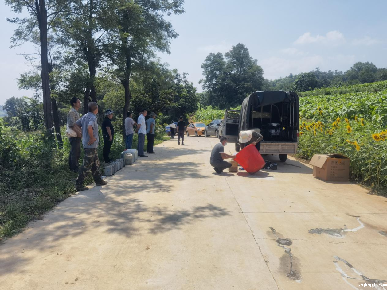 河南卢氏:小小无人机 烟农“大帮手”