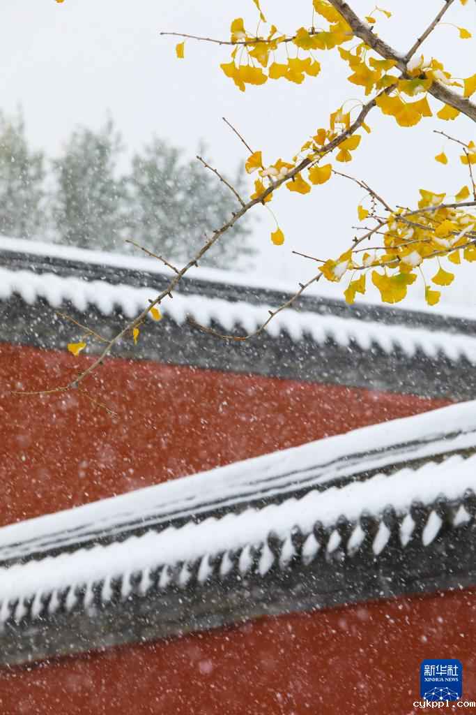 震撼人心！摄影师直击各地初雪飘