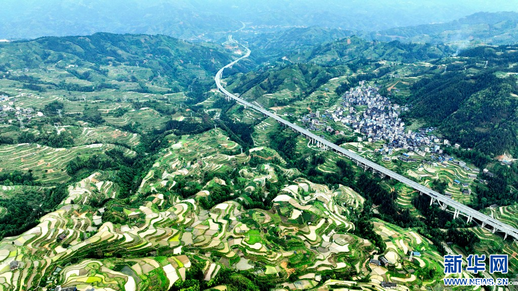 绿染侗乡 梯田如画