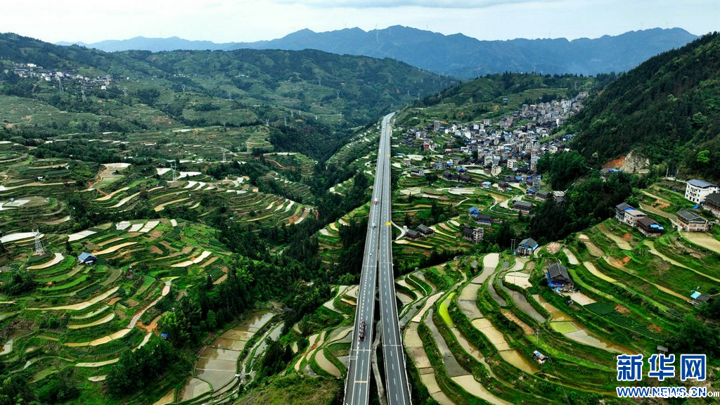 绿染侗乡 梯田如画