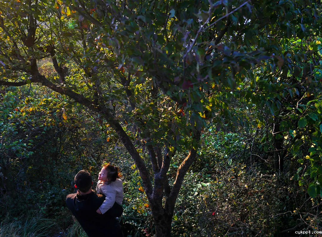 这里是庐山！文脉悠长 烟火气浓