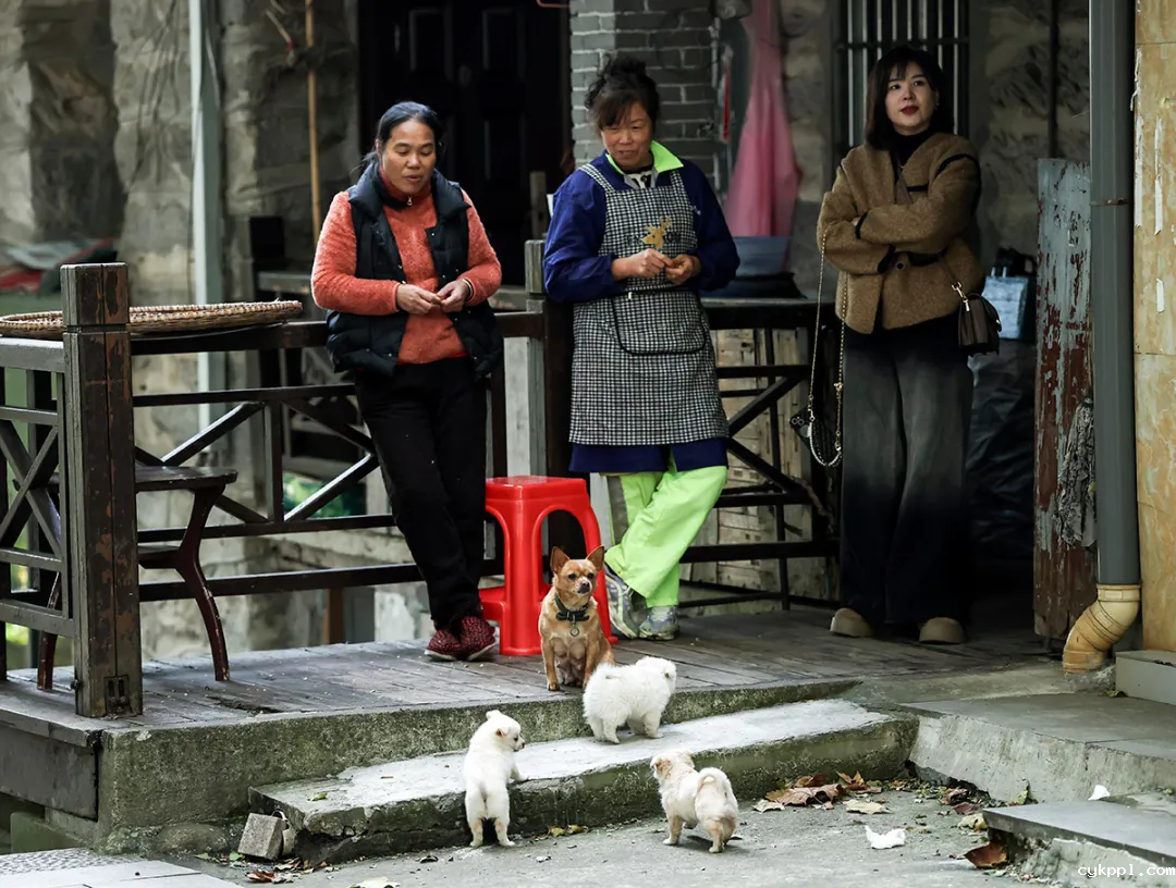 这里是庐山！文脉悠长 烟火气浓