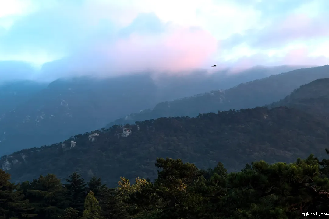 这里是庐山！文脉悠长 烟火气浓