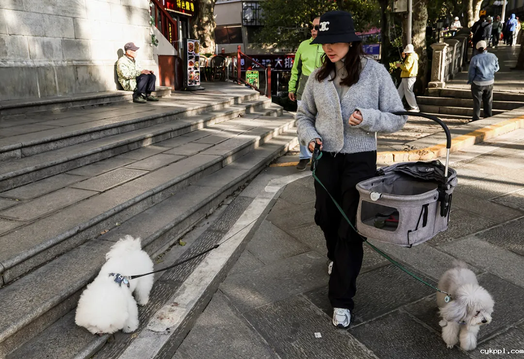 这里是庐山！文脉悠长 烟火气浓
