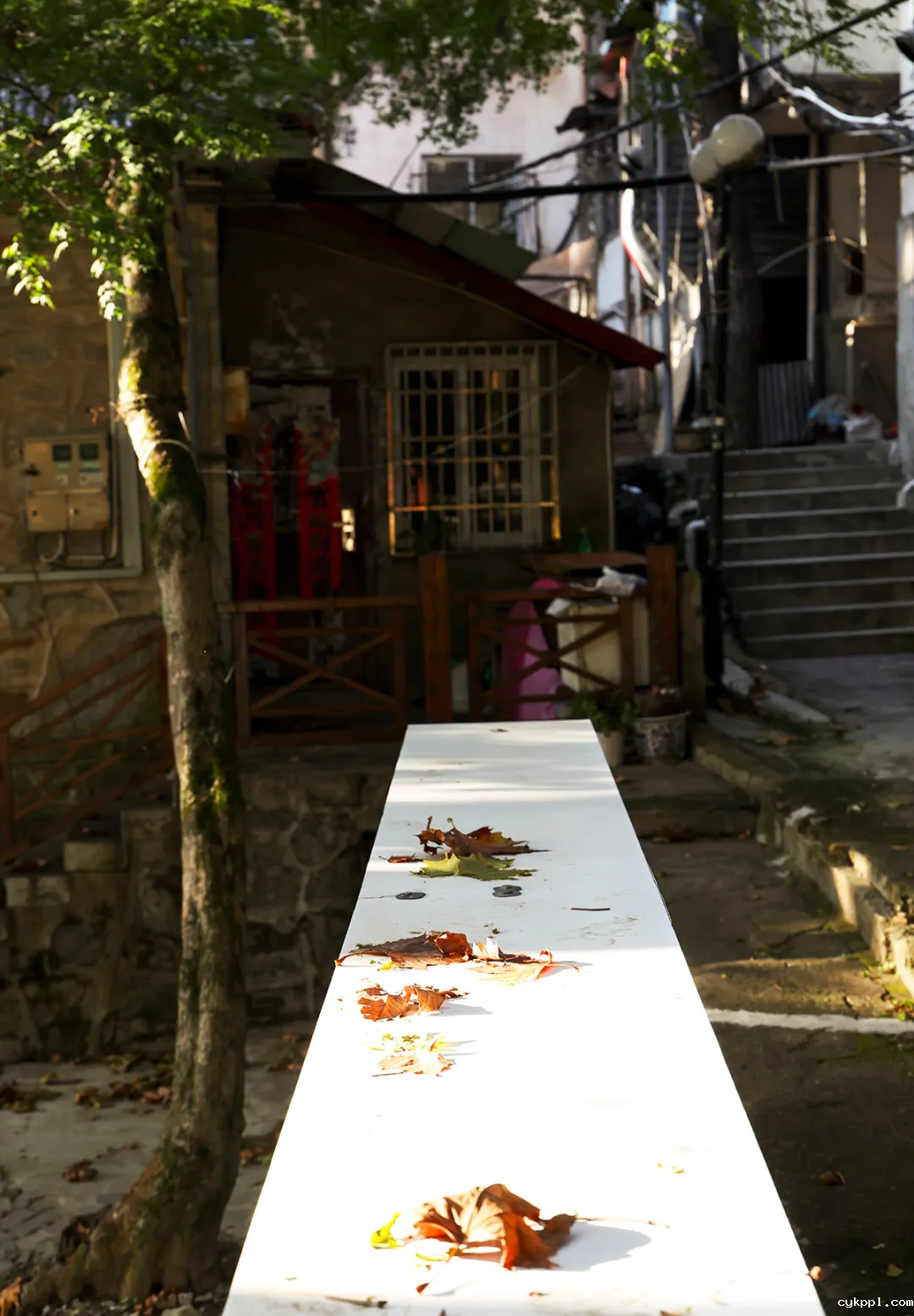 这里是庐山！文脉悠长 烟火气浓