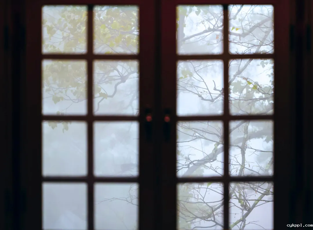 这里是庐山！文脉悠长 烟火气浓