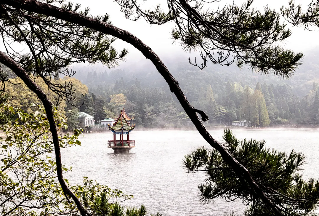 这里是庐山！文脉悠长 烟火气浓