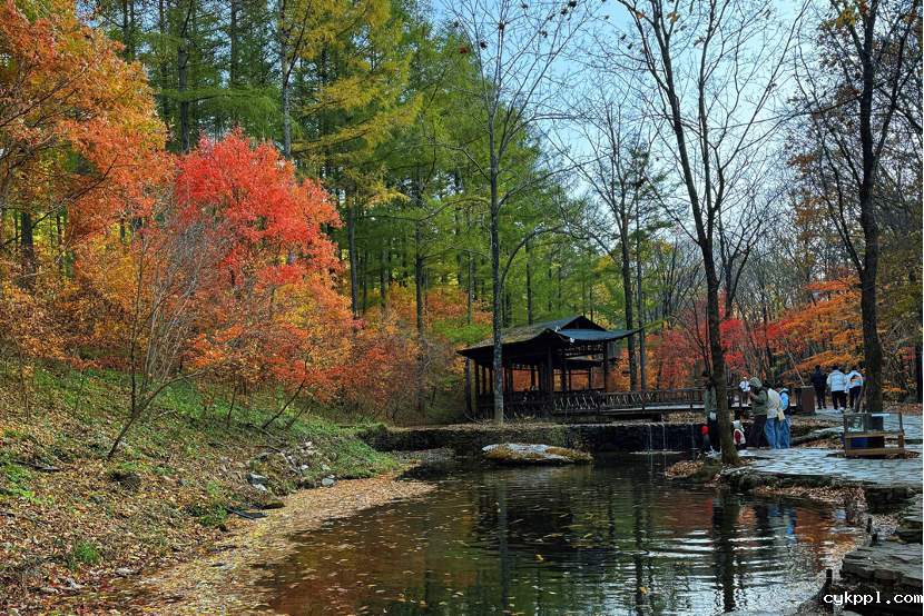 “大美中国 气象万千”主题宣传活动作品征集