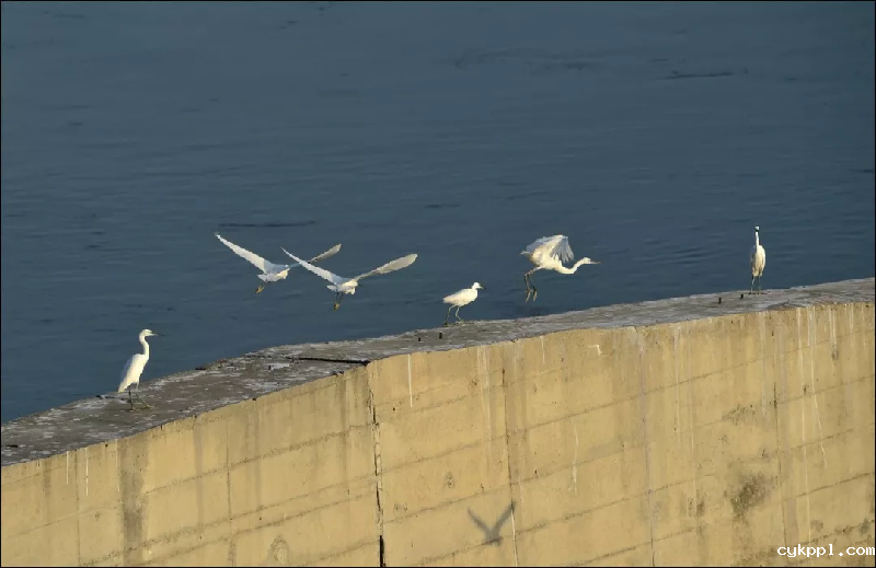 最美丽的家乡河——汉江