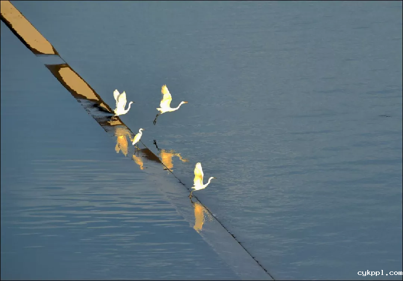 最美丽的家乡河——汉江