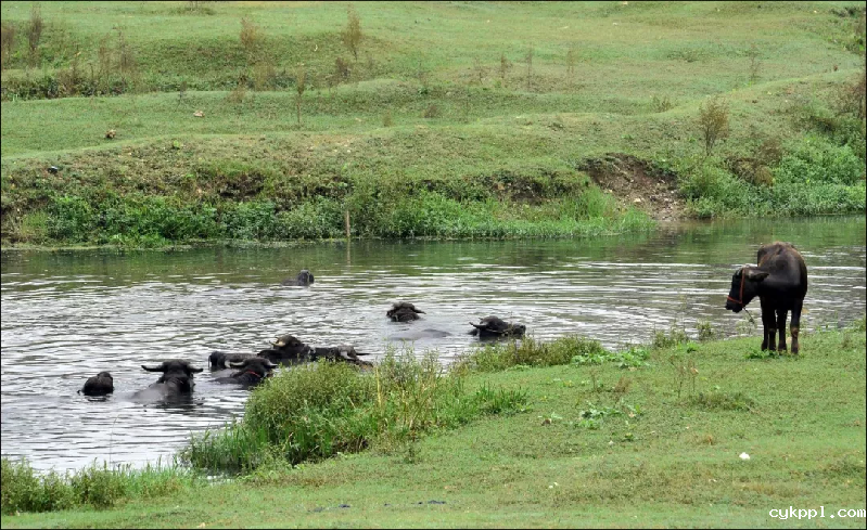 最美丽的家乡河——汉江